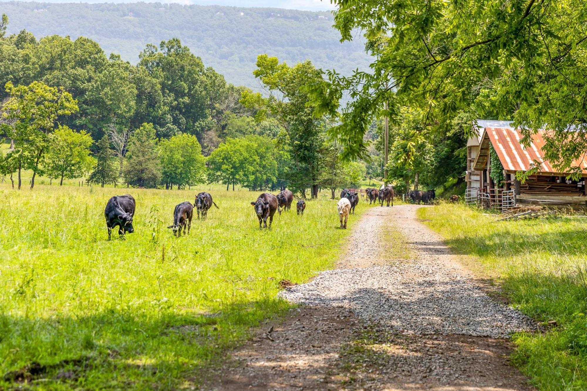 Quail Run Farm Pool Home Chattanooga Bagian luar foto